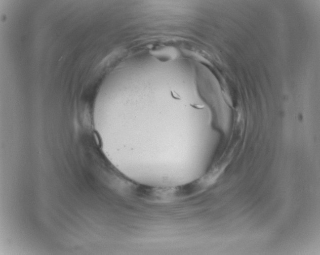 X0000074310143200609152016