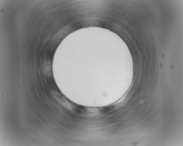 X0000074310144200609152016