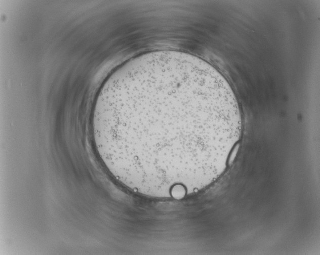 X0000074310145200609152015