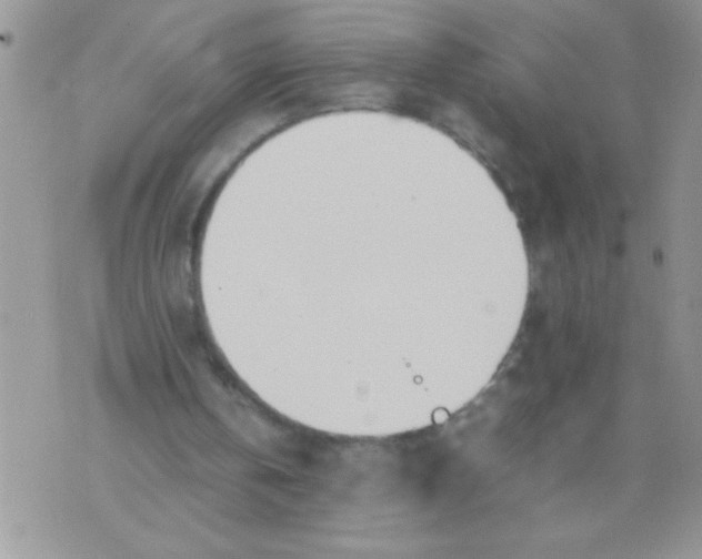 X0000074310146200609152015