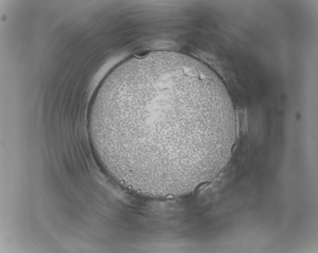 X0000074310147200609152015