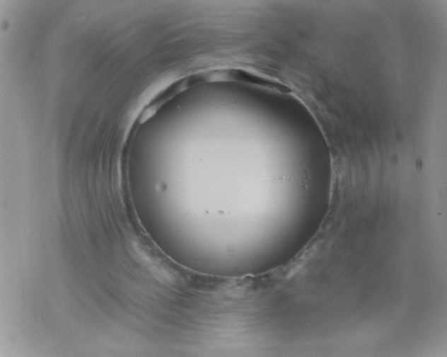 X0000074310148200609152015