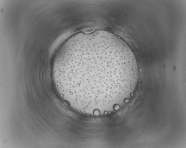 X0000074310149200609152015