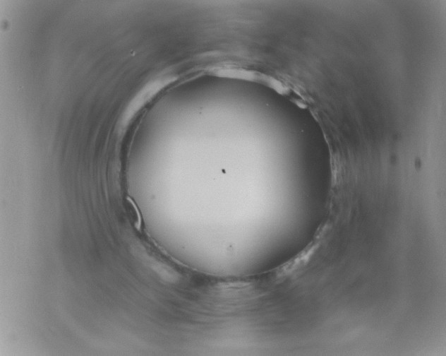 X0000074310150200609152015