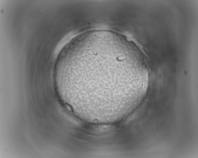 X0000074310151200609152015