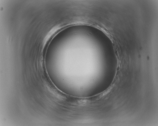 X0000074310152200609152015