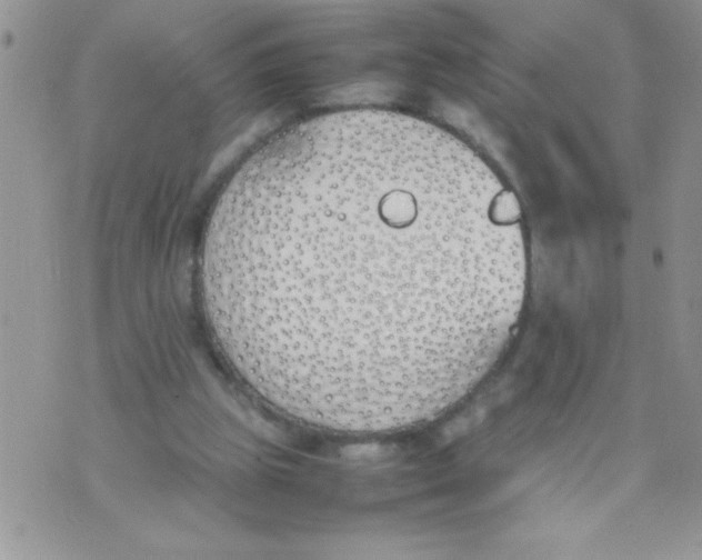 X0000074310153200609152015