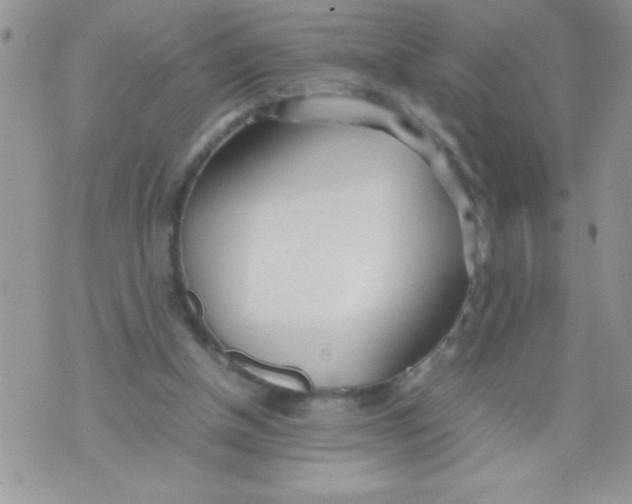 X0000074310154200609152015