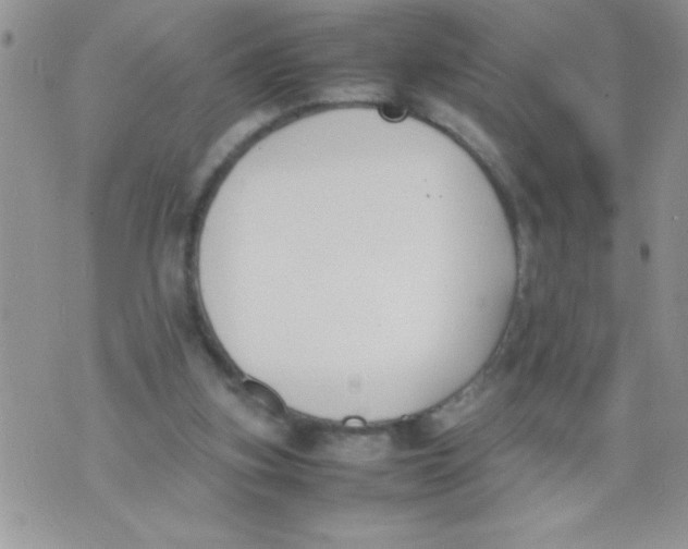 X0000074310155200609152015