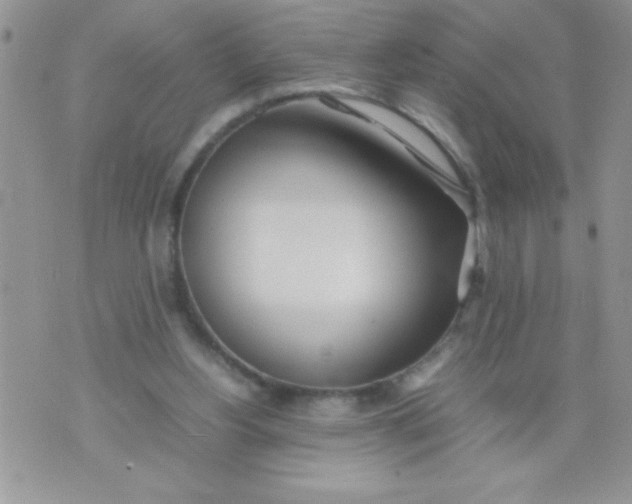 X0000074310156200609152015