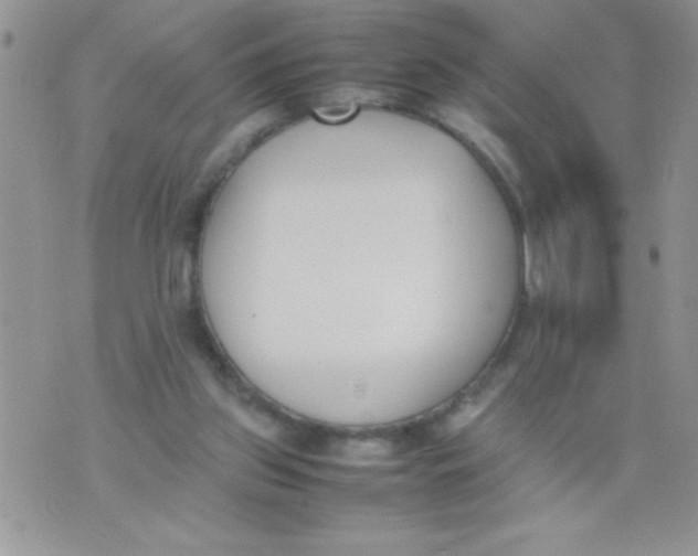 X0000074310157200609152016