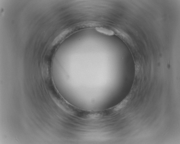 X0000074310158200609152016