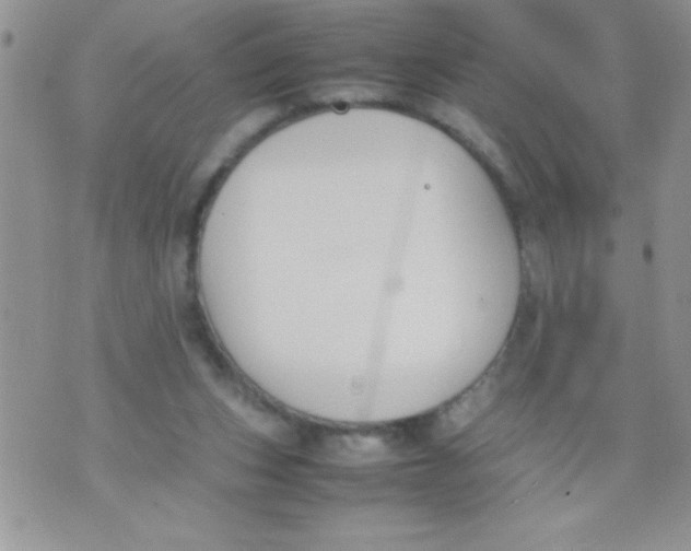 X0000074310159200609152016