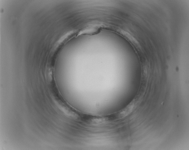 X0000074310160200609152016