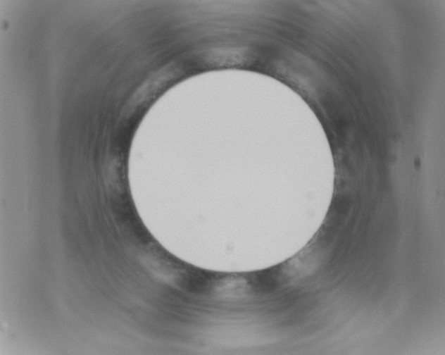 X0000074310162200609152016