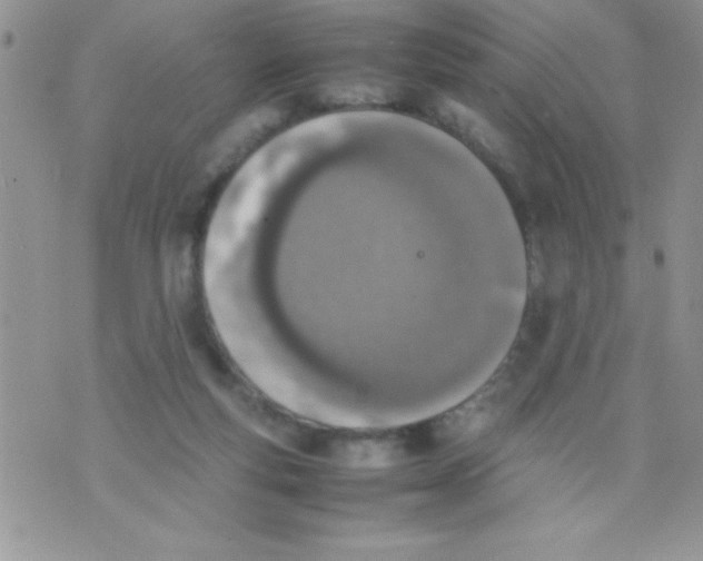 X0000074310163200609152016