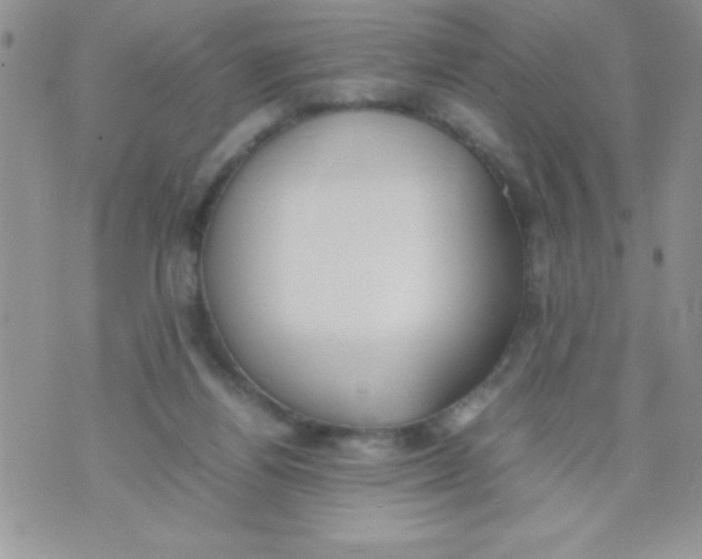 X0000074310164200609152016