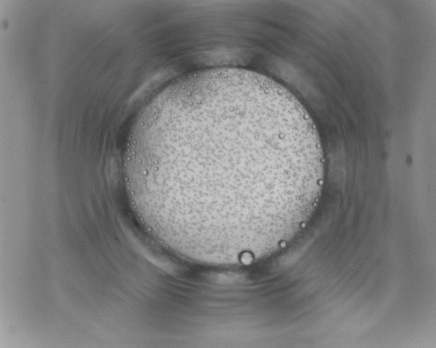 X0000074310165200609152016