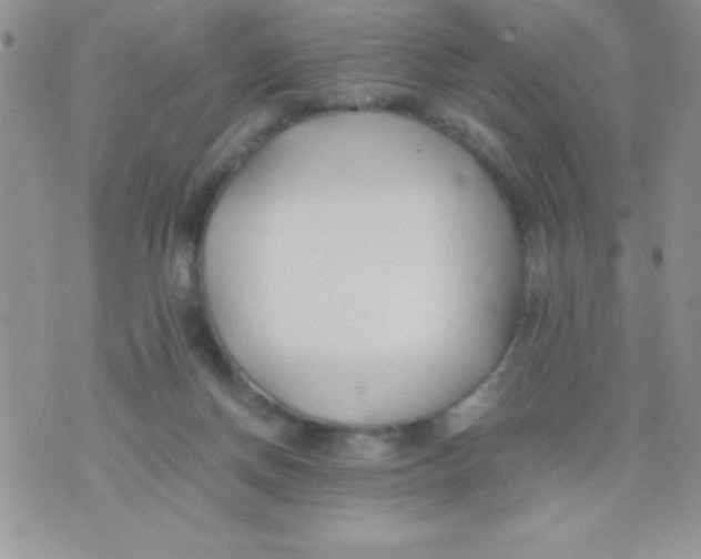 X0000074310166200609152016