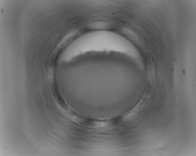 X0000074310167200609152016