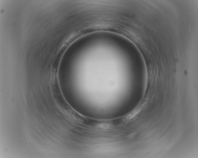 X0000074310168200609152016