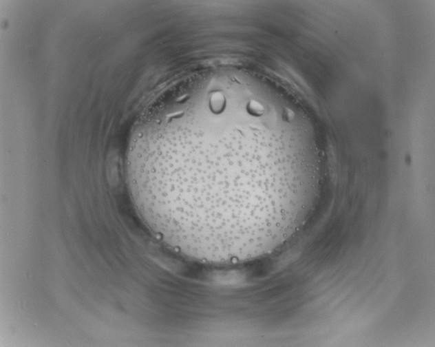 X0000074310169200609152016