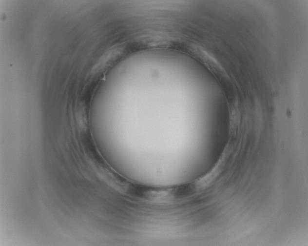 X0000074310170200609152016