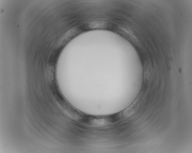 X0000074310171200609152016