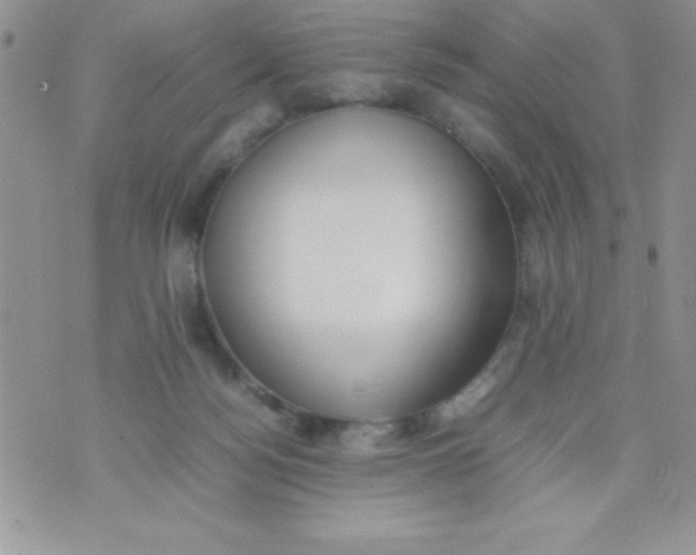 X0000074310172200609152016