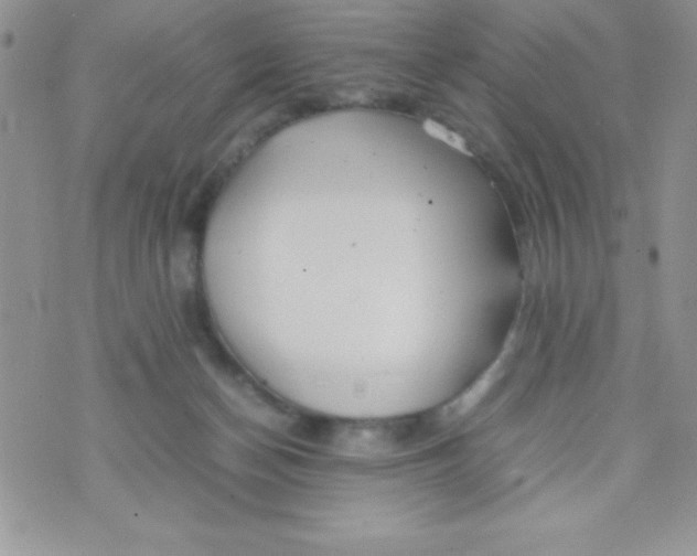 X0000074310174200609152016