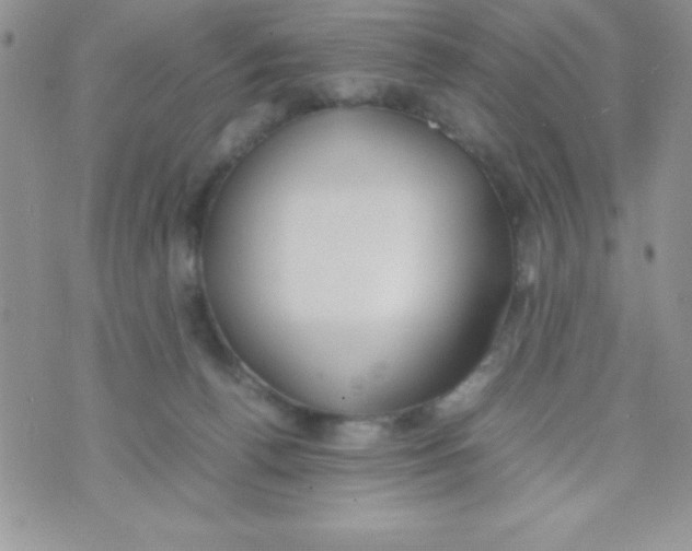 X0000074310176200609152016