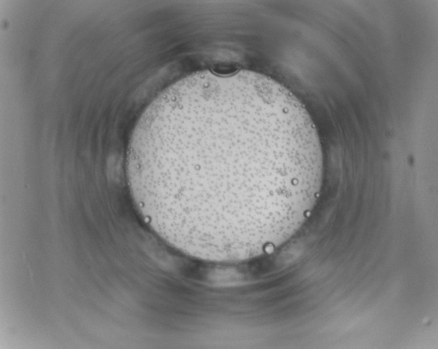 X0000074310177200609152016