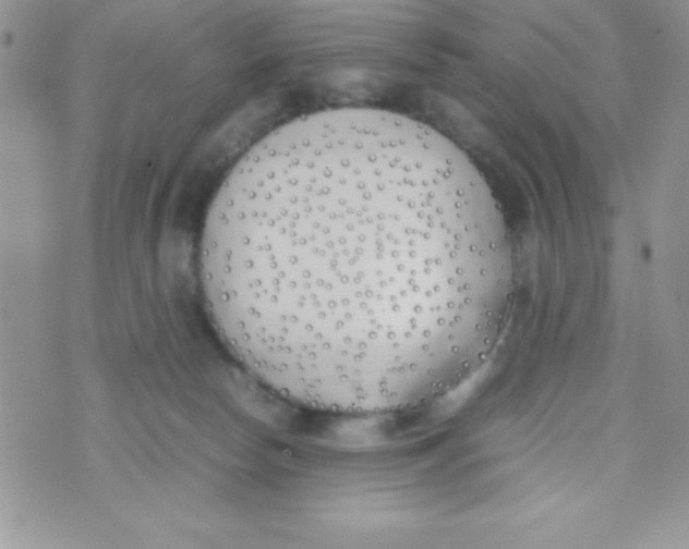 X0000074310178200609152016