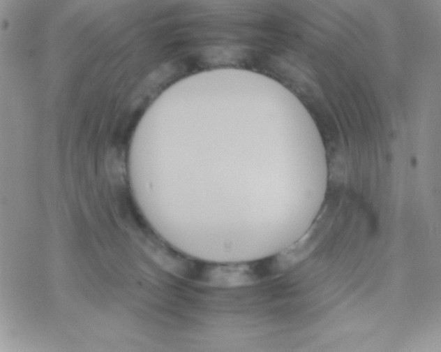 X0000074310179200609152016