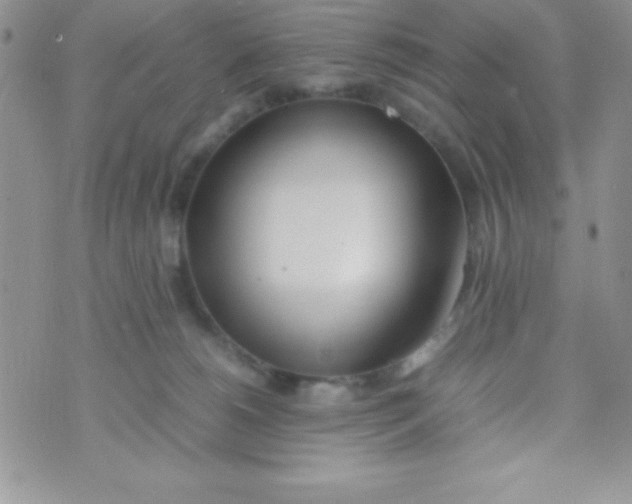 X0000074310180200609152016