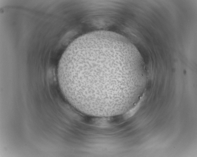 X0000074310182200609152016