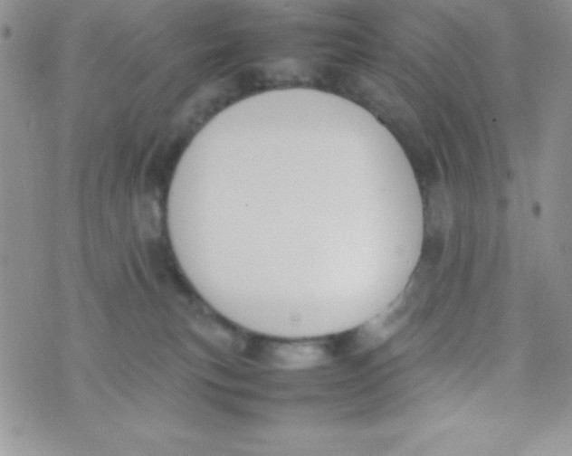 X0000074310183200609152016