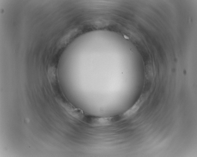 X0000074310184200609152016