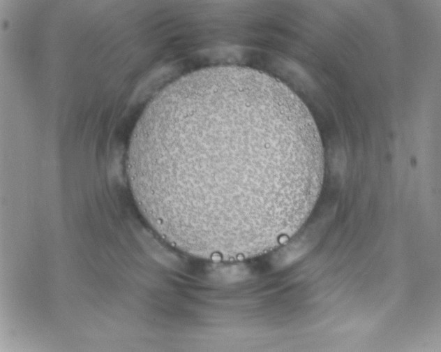 X0000074310185200609152016