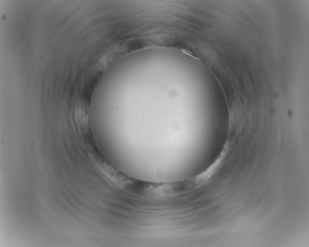 X0000074310186200609152016