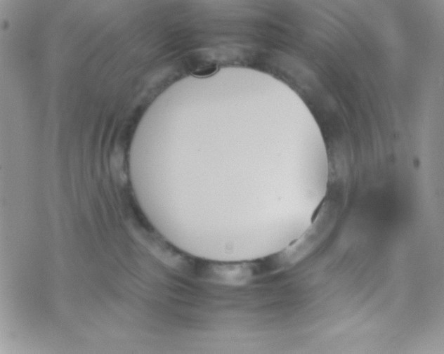 X0000074310187200609152016