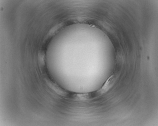 X0000074310188200609152016