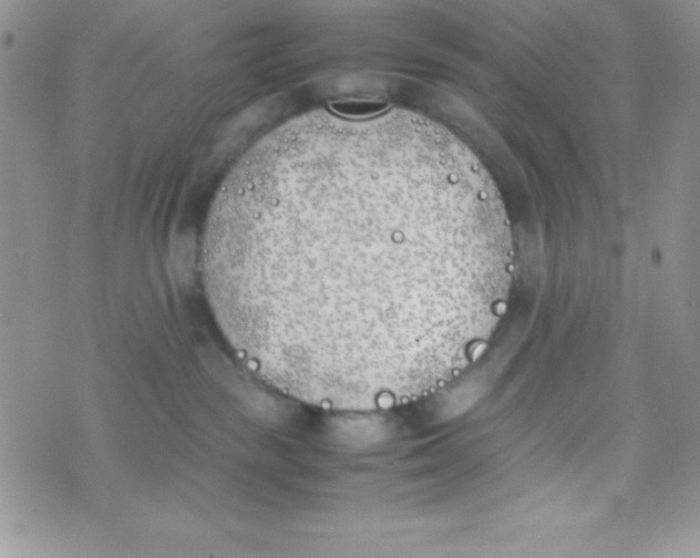 X0000074310189200609152016