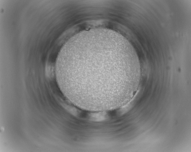 X0000074310191200609152016