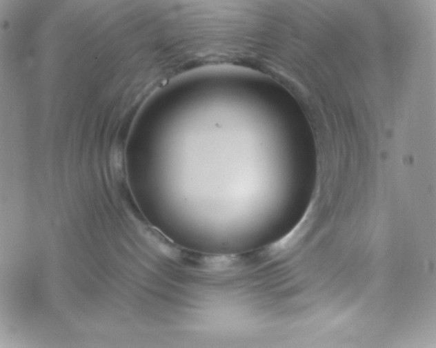 X0000074310192200609152016