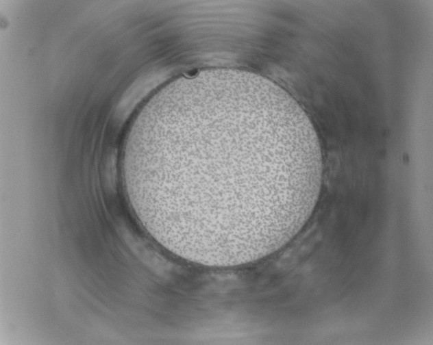 X0000074310194200609152015