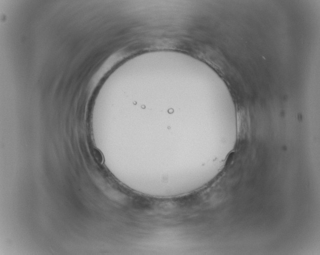 X0000074310195200609152015