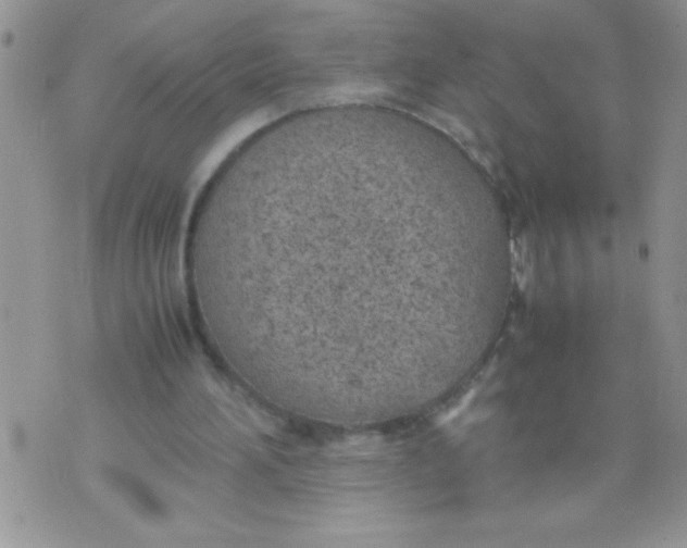 X0000074310196200609152015