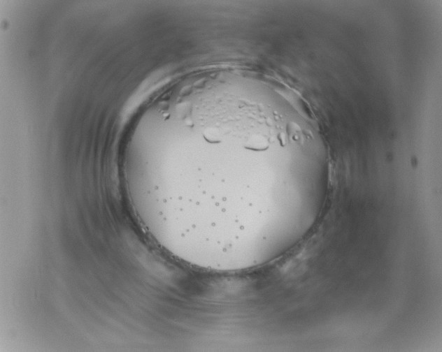 X0000074310198200609152015