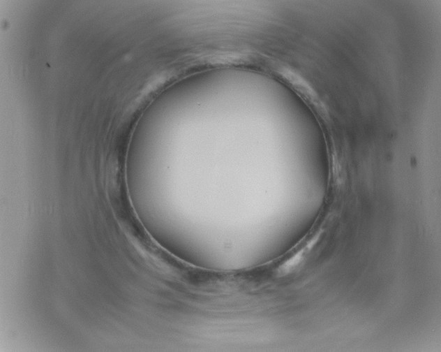 X0000074310201200609152015